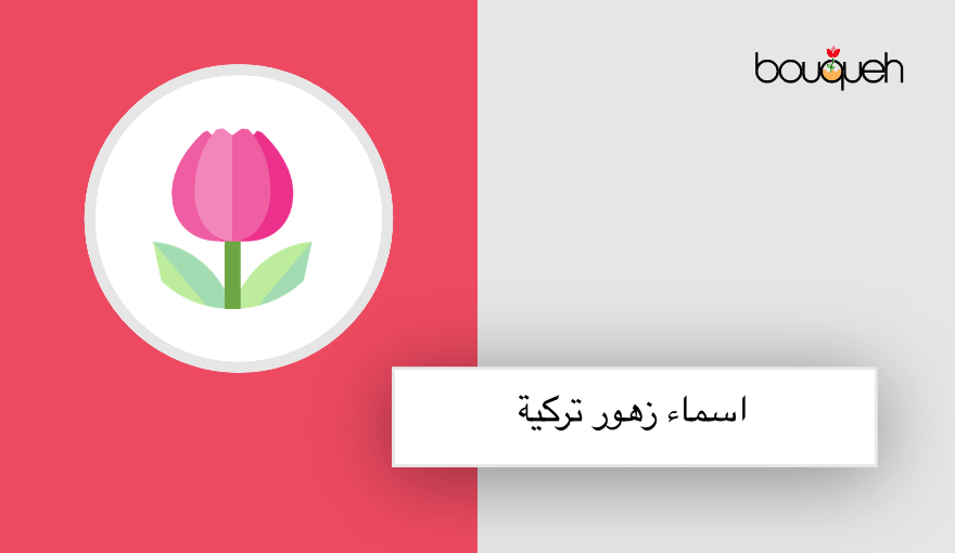 اسماء زهور تركية تعرف علي اشهر ٥ أنواع مدونة بوكيه