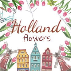 Holland Flowers